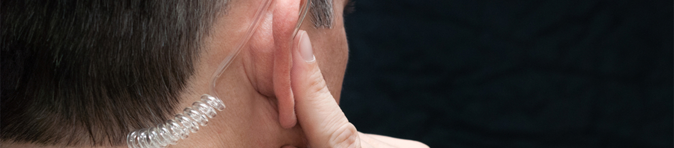 level 2 award for working as a security officer within the private security industry (qcf) masthead